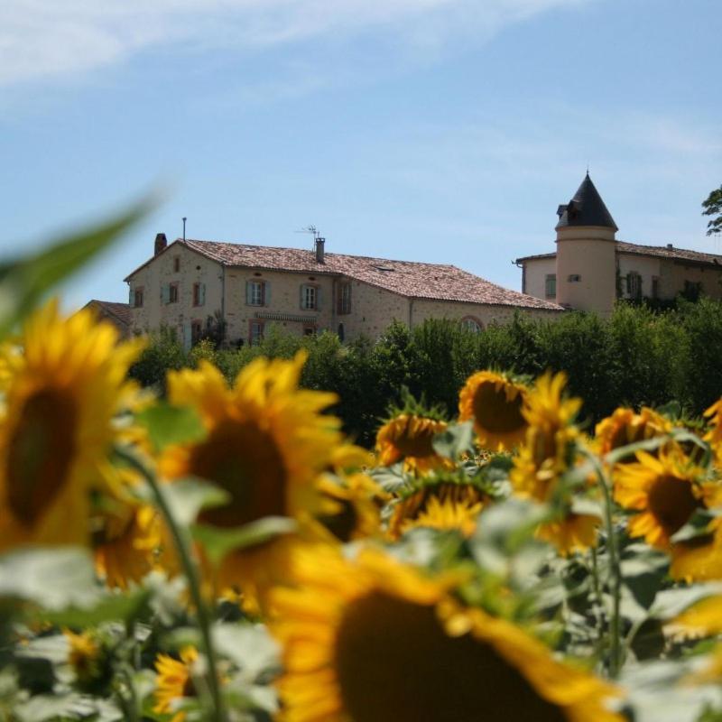 Domaine D'En Naudet Bed and Breakfast Teyssode Exterior foto